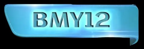 bmy12