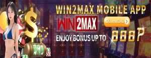 win2max