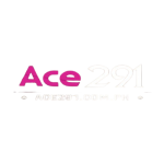 ace 291