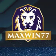 maxwin77