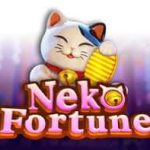 neko fortune