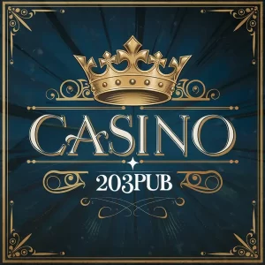 203PUB APP