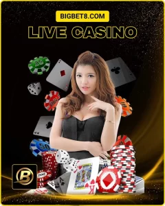 bigbet casino
