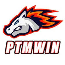 ptmwin 888